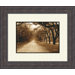 Savannah Oaks B Framed Art