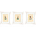 Coastal Shell Framed Art (Set of 3)