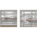 Contemporary D.N.A Framed Art (Set of 2)