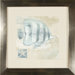 Fishs Framed Wall Art (Set of 2)