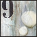 Shell #9 Framed Wall Art