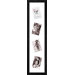 Photo Collage Picture Frame