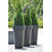 CTera Non-Illuminated Round Planter