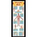 Systems Of The Body Colossal Poster