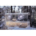 Buffer Window Feeder in Clear