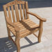 Teakwood Tulip Dining Arm Chair