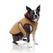 Quilted Velvet Dog Coat in Camel