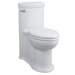 Archive 1.6 gpf Elongated Toilet
