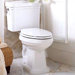 Pomezia Elongated Toilet