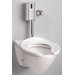 HET Wall Mount Flushometer Toilet