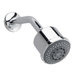 New Haven Shower Head