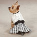 First Lady Ruffle Taffeta Dog Dress