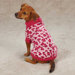 Vibrant Leopard Dog Sweater