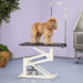 Z-lift Hydraulic Dog Grooming Table in Ivory