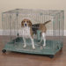 Smart Snap Medium / Large Pet Pen in Silver Sage
