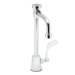 Commander Single Hole Faucet with Rigid Vacuum Breaker Spout and Single Wrist Blade Handle
