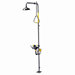 Safe-T-Zone Floor Mount Traditional Combination Shower with Stainless Steel Bowl, Ball Valve and Pull Rod