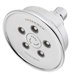Anystream Assana Shower Head with Massage
