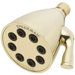 Anystream 8 Jet Shower Head