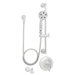 Alexandria Hand-held Shower Tub Combination with Diverter Tub Spout