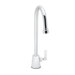 Commander Single Hole Faucet with Rigid Vacuum Breaker Spout and Single Lever Handle