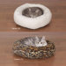 Cozy Cat Bed