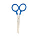 4" Thinning Pet Shears
