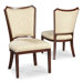 Rayon Dining Side Chair