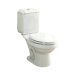 Rockton 2-Piece Elongated Toilet