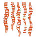 Spot Samambaias Wall Sticker