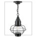 Classic Onion One Light Outdoor Hanging Lantern