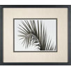 Palm Leaf 2 Framed Print