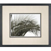 Palm Leaf 4 Framed Print
