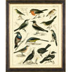 Aviary 1 on Canvas Framed Print
