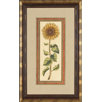 Sunflower I Framed Print