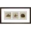 Salt Framed Print