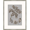 Buchoz Flowers on Gray II Wall Art