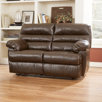 Schurz Reclining Loveseat