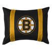 Boston Bruins Sham