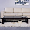 Recluse Coffee Table