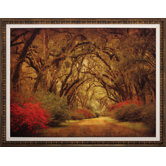 Road With Oaks Wall Art