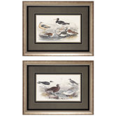 Gulls / Oyster Wall Art (Set of 2)
