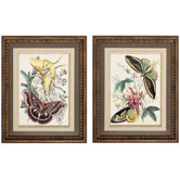 Fancy Flight I/II Wall Art (Set of 2)