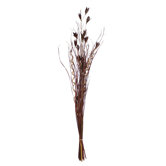 Deep Brown Grass with Flowers