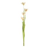 Bali Flower