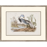 Audubon Herons by Audubon Traditional Art (Set of 2) - 24" x 31"