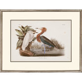 Audubon Egrets by Audubon Traditional Art (Set of 2) - 24" x 31"