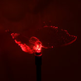 Solar Butterfly Garden Stake