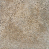 Alta Vista 18" x 18" Field Tile in Drift Wood