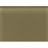 Glass Reflections 11 1/2" x 15 1/2" Glossy Random Interlocking Accent in Olive Oil